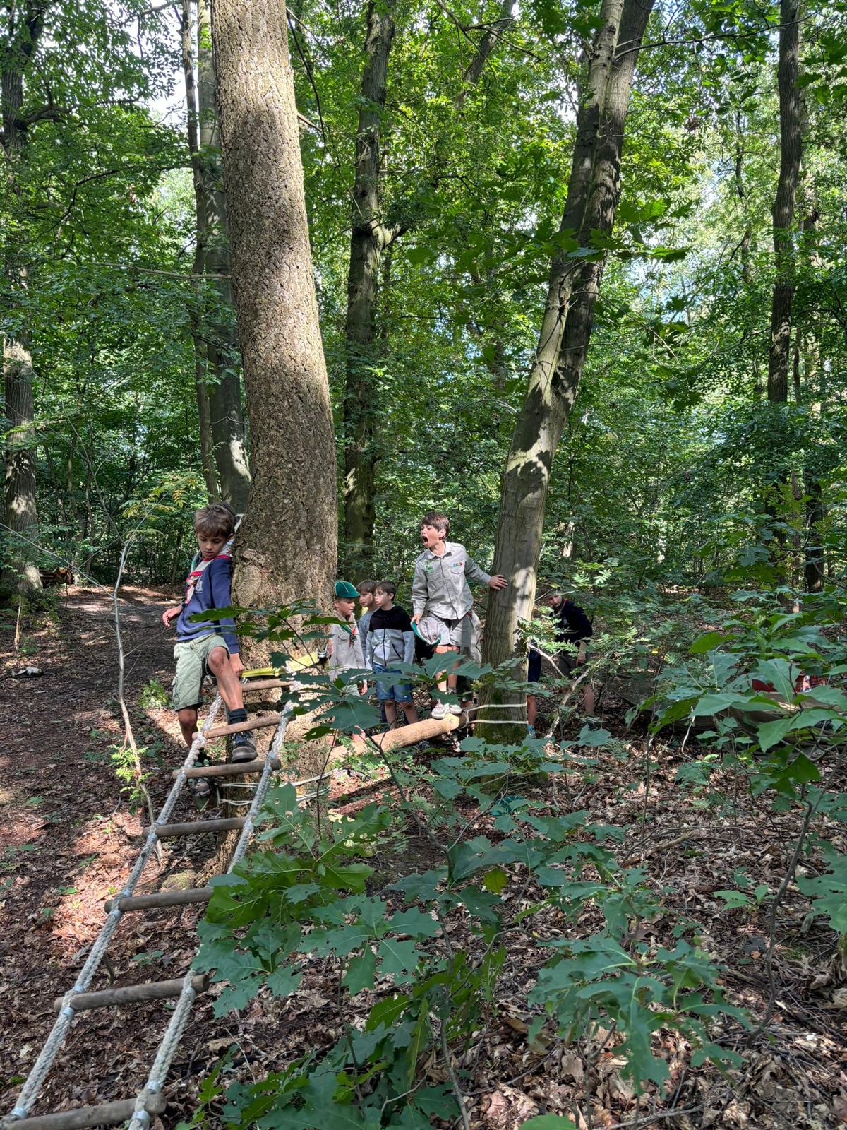 Sint-Martinus den XIIde - Opening 2024
